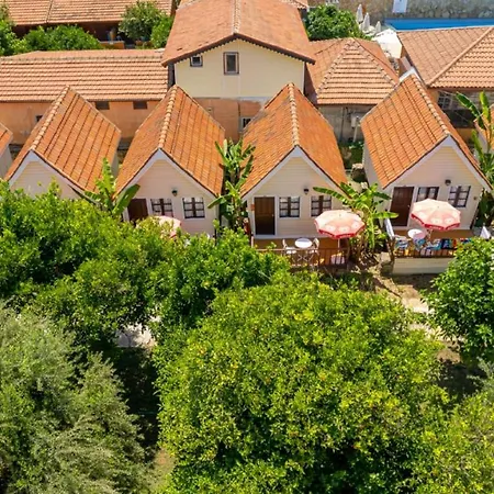 Clover Magic Nova Hotel