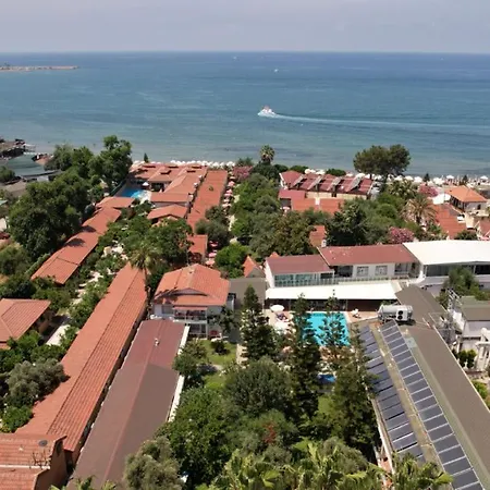 Clover Magic Nova Side