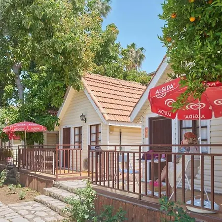 Clover Magic Nova Сіде