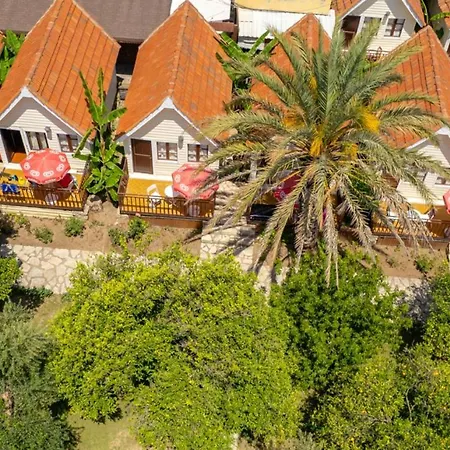 Готель Clover Magic Nova