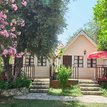 Готель Clover Magic Nova *