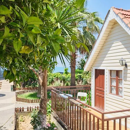 Clover Magic Nova Готель *