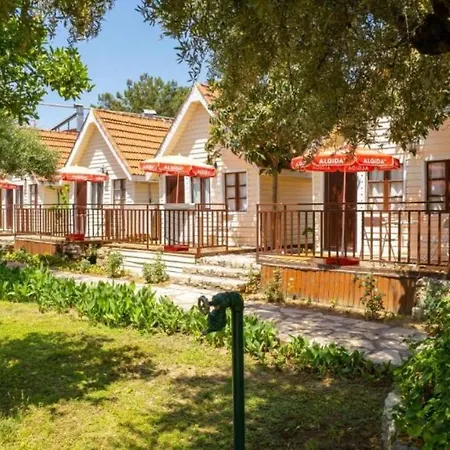 Hotel Clover Magic Nova