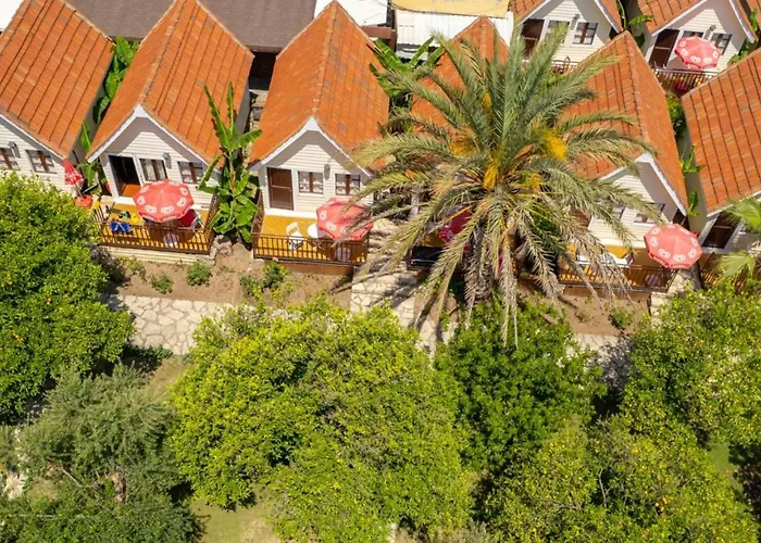 Hotel Clover Magic Nova