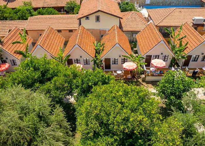 Clover Magic Nova Hotel