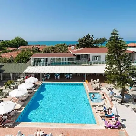 Clover Magic Nova * シダ