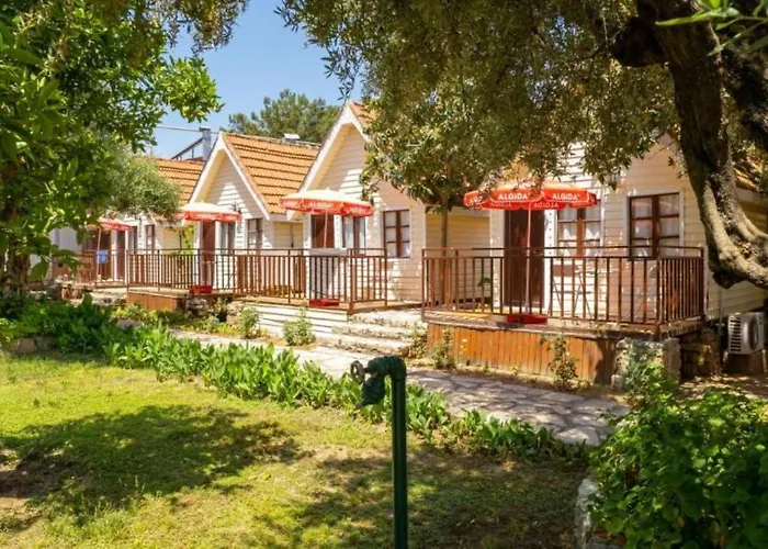 ホテル Clover Magic Nova