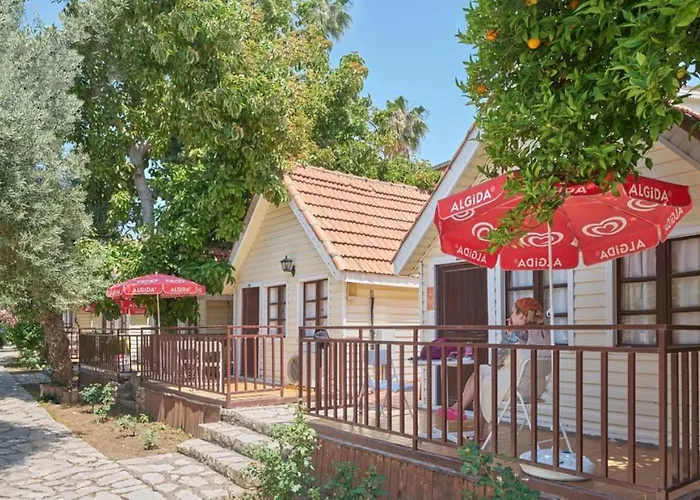 Clover Magic Nova Sidé