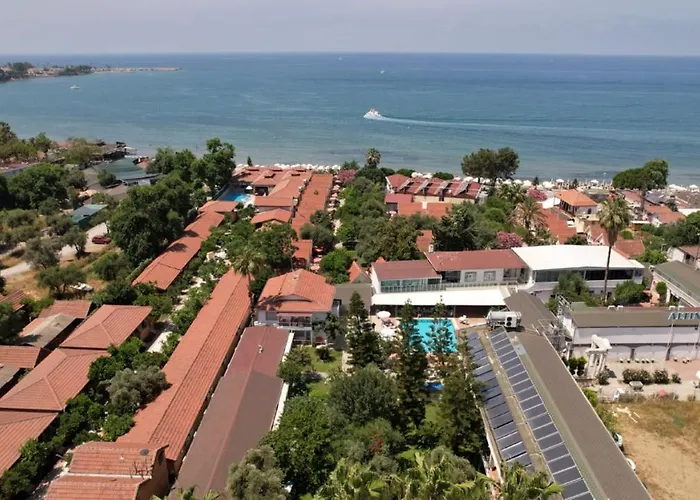 Clover Magic Nova Sidé