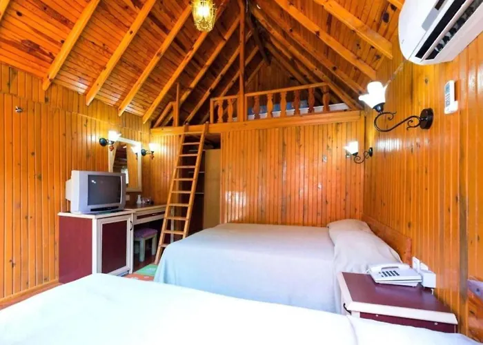 Clover Magic Nova * Sidé