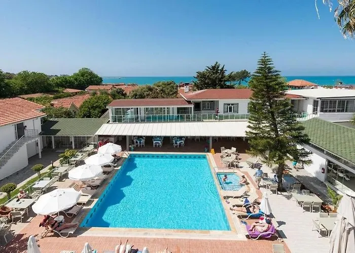 Clover Magic Nova * Sidé